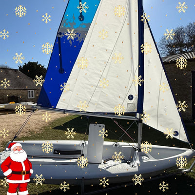 🎄Xmas Deal - Pico Ex Display 🎄