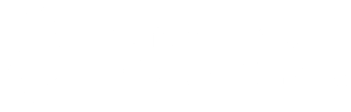 Performance Sailcraft Europe